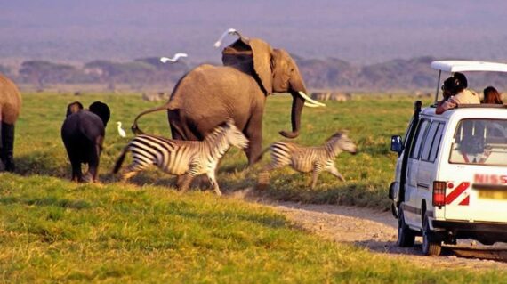 8 Days Kenya Explorer Safari Holiday