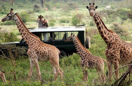 15 Days Kenya Tanzania Safari Package3