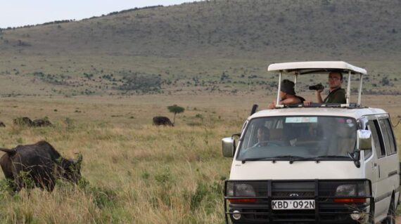 6 days kenya wildlife lodge safari