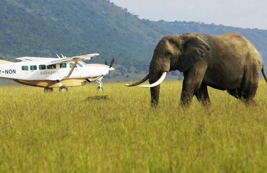 4 Days Masai Mara Safari by Air