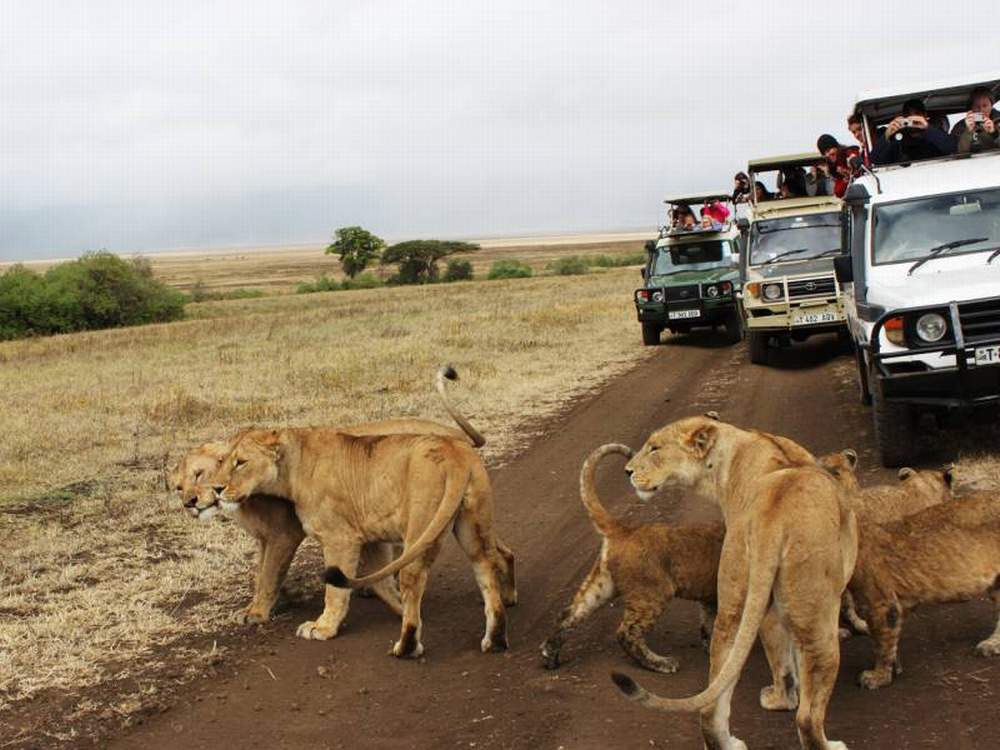 6 Days Kenya Luxury Adventure Holiday Safari