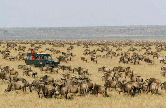 6 Days Maasai Mara Serengeti Luxury Safari Package 1