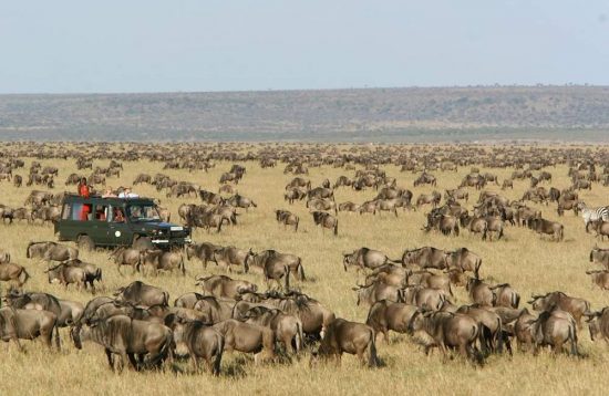 6 Days Masai Mara Wildebeest Migration Safari 2