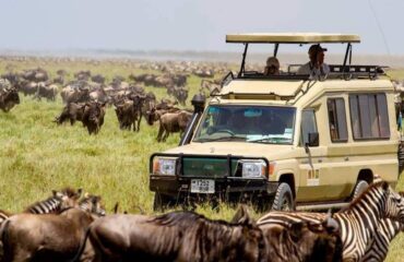 11 Days Maasai Mara Migration Photographic Safari