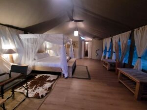 Mara Maisha luxury Lodge
