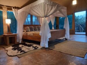 mara maisha lodge3