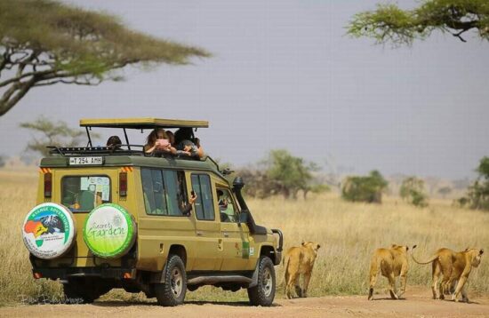 13 Days Kenya Tanzania tour safari package