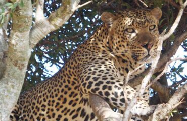 10 Days Kenya Tanzania Adventure Safari1