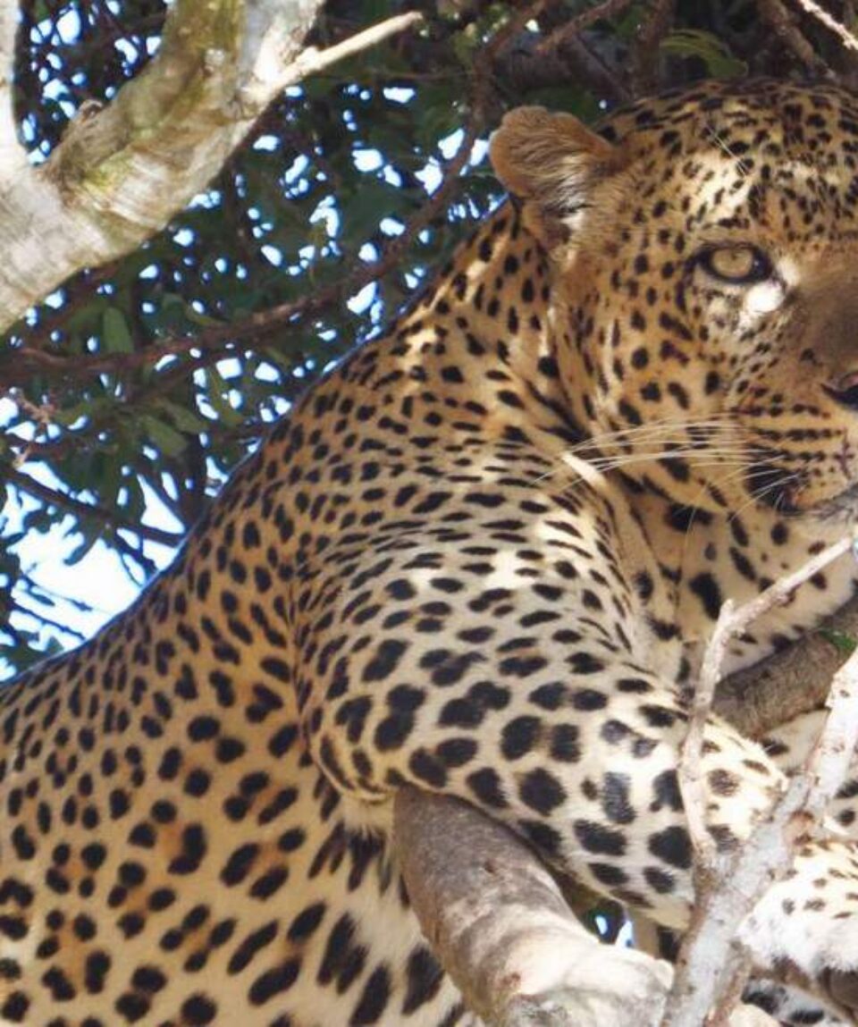 10 Days Kenya Tanzania Adventure Safari1