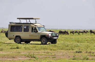 4 Days Masai Mara Wildebeest Migration Tour Package
