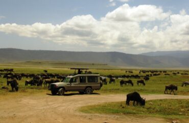 15 Days lodge Safari Holiday Package