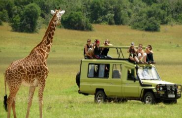 15 Days lodge Safari Holiday Package1