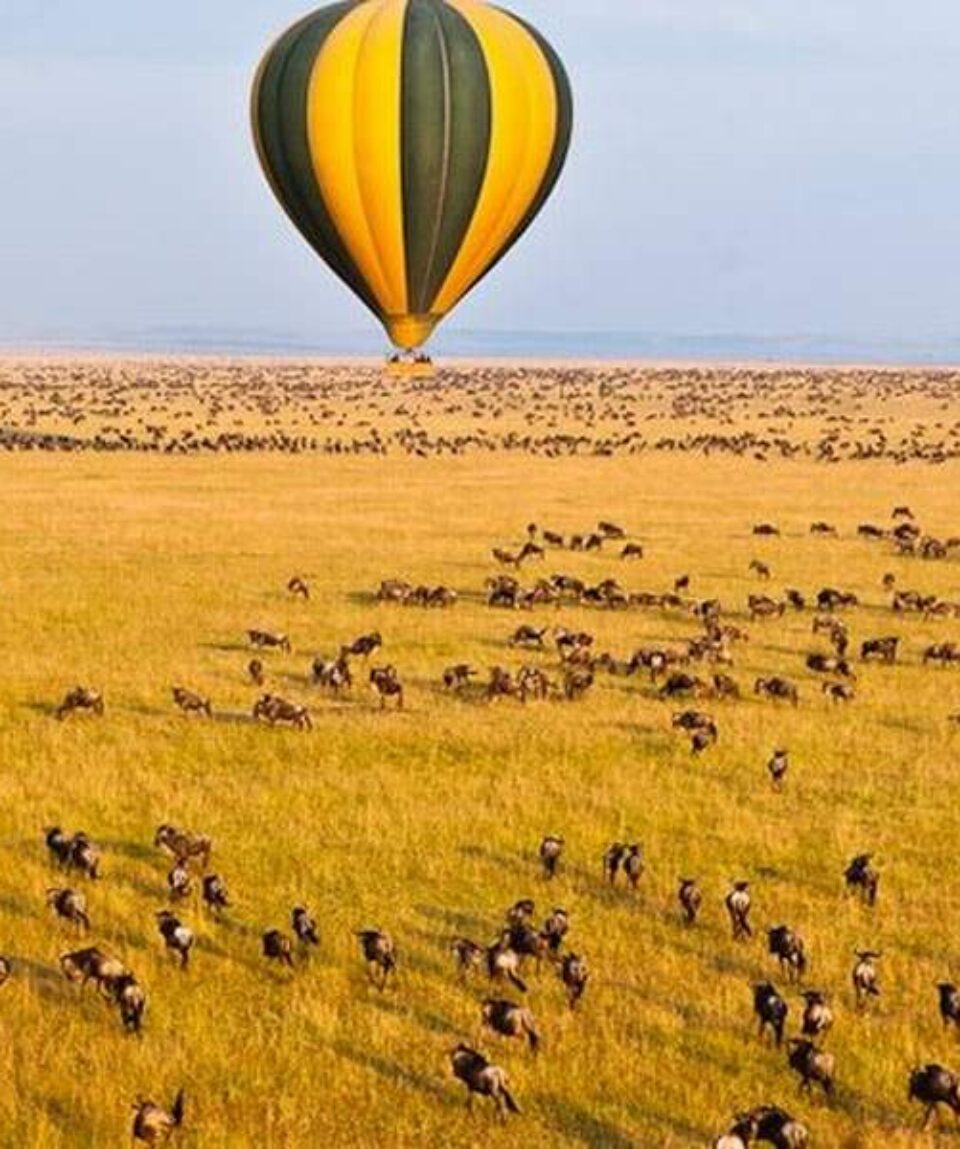 4 Days Masai Mara Safari Tour Holiday