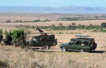 Mara Maisha luxury Lodge