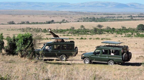 Mara Maisha luxury Lodge