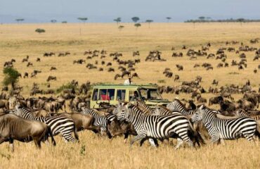 4 Days Masai Mara Safari Tour Holiday