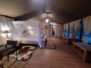 Mara Maisha Luxury Lodge