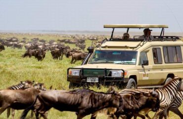 4 Days Masai Mara Safari Tour Holiday