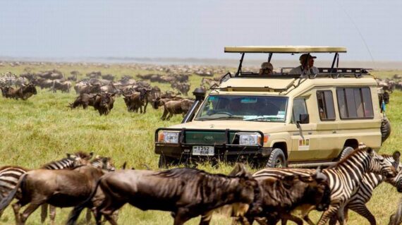 4 Days Masai Mara Safari Tour Holiday