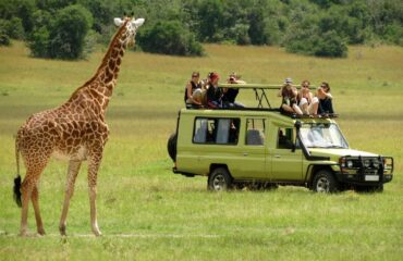 15 days kenya classic safari holiday package