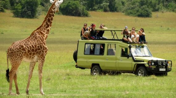 15 days kenya classic safari holiday package