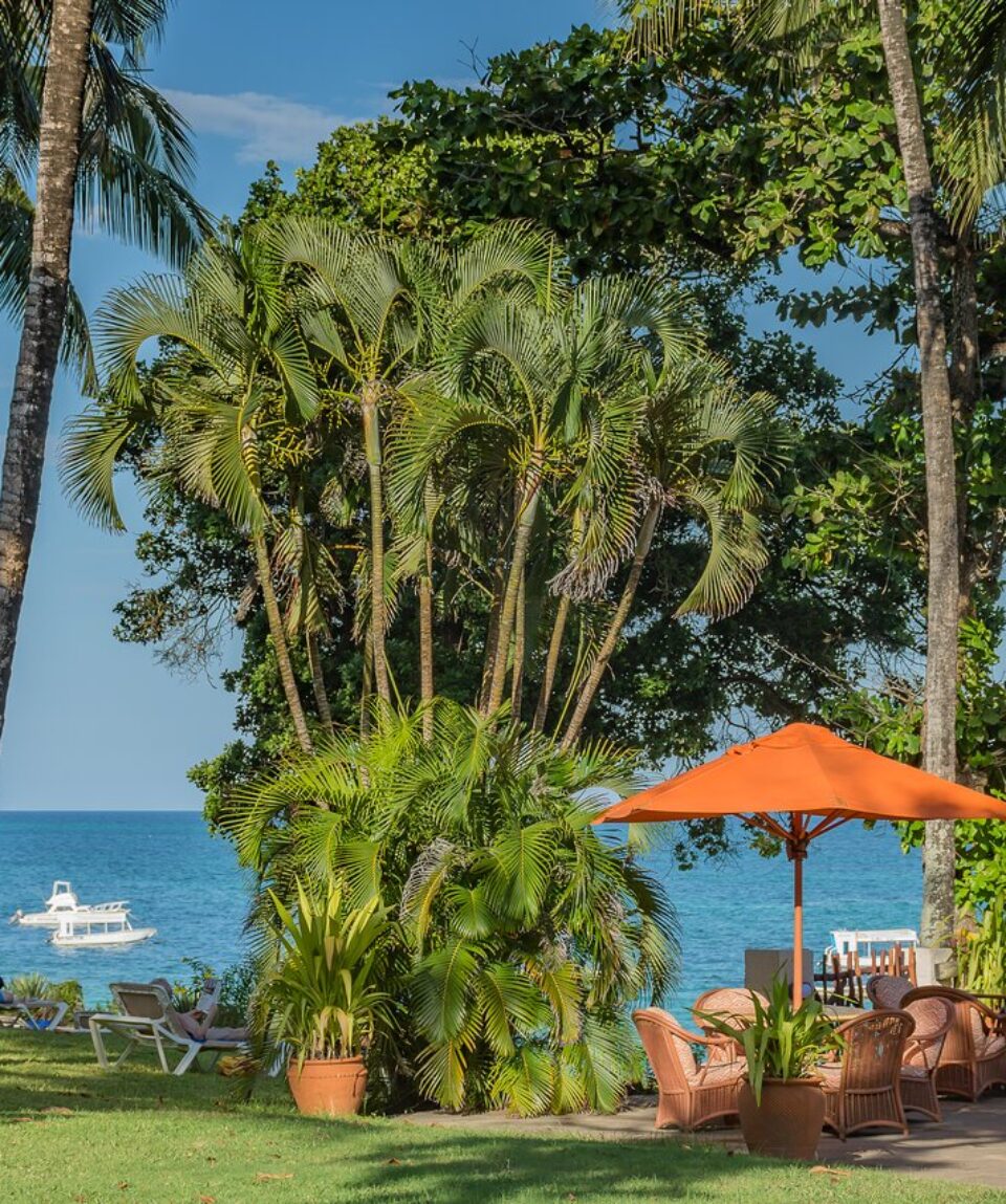 13 Days all-inclusive safari and Beach Holiday Vacations4