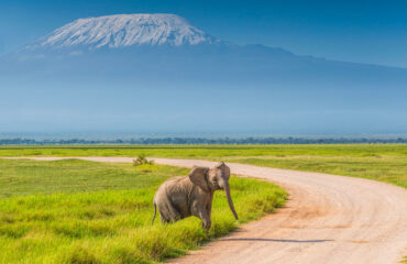 13 Days all-inclusive safari and Beach Holiday Vacations7