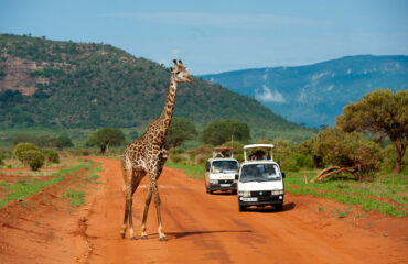 13 Days all-inclusive safari and Beach Holiday Vacations8