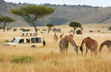 14 Days Africa Escorted Tours Holiday Safari Vacation5