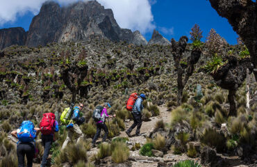 5 Days Mount Kenya Climbing Chogoria Naro Moru Route1