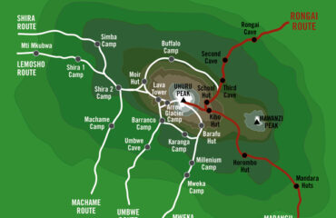 6 Day Mount Kilimanjaro Climbing, Trekking, Hiking Umbwe Route