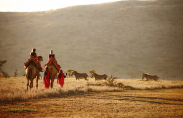 7 Days Lewa Wildlife Conservancy Tour Vacations Package1