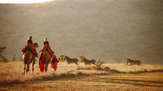 7 Days Lewa Wildlife Conservancy Tour Vacations Package1