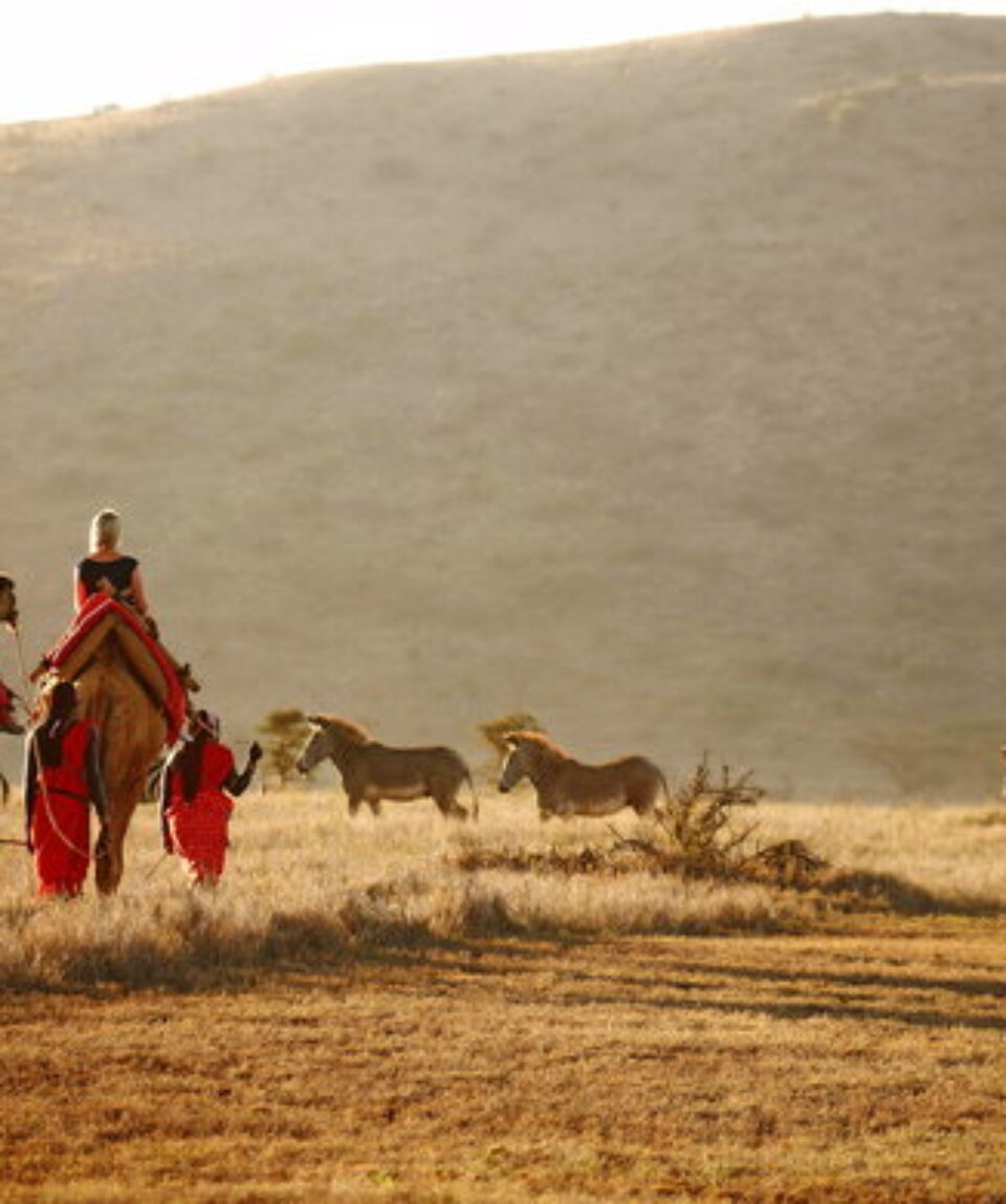7 Days Lewa Wildlife Conservancy Tour Vacations Package1
