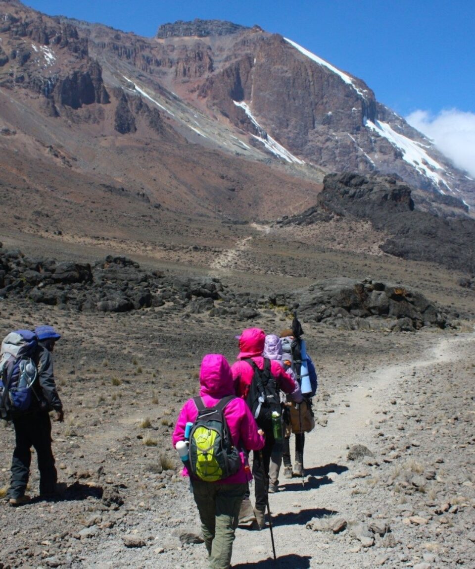 9 Days Mount Kilimanjaro Northern Circuit Hiking Route4