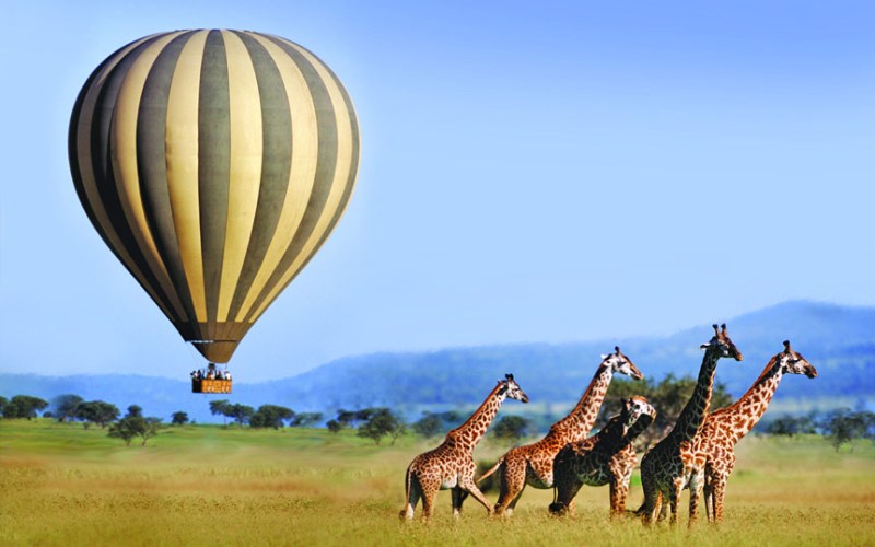 9 to 16 Days Africa Safari Holiday