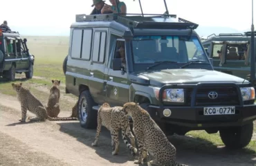 15 Days Kenya Tanzania Victoria Falls Holiday Safari6