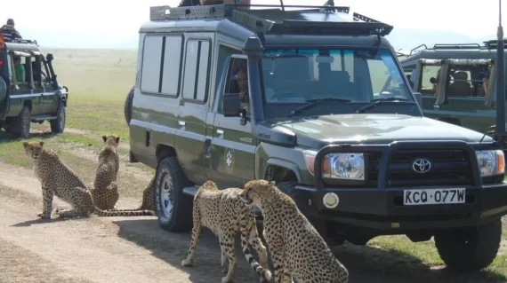 15 Days Kenya Tanzania Victoria Falls Holiday Safari6