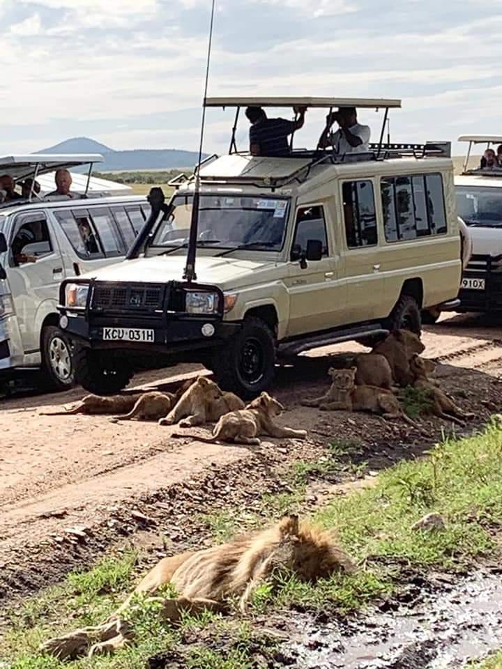 15 Days Kenya Tanzania Victoria Falls Holiday