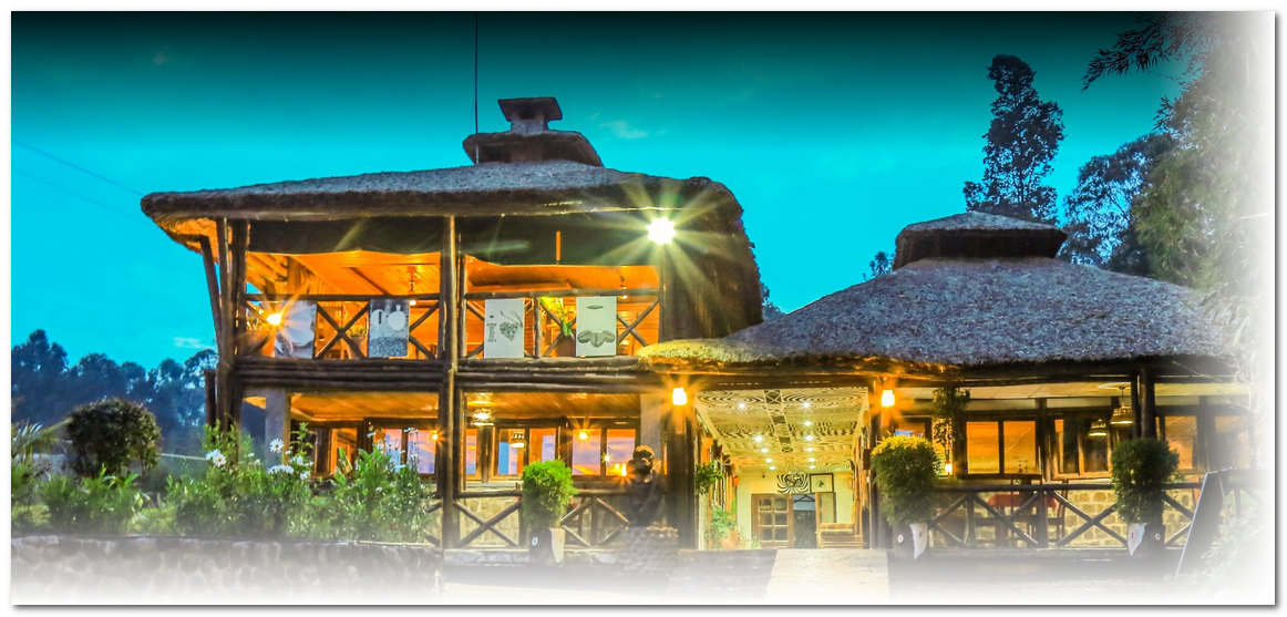 Da Vinci Gorilla Lodge Exterior, Da Vinci Gorilla Lodge in Rwanda