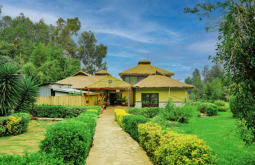 Da Vinci Gorilla Lodge Main Entrance