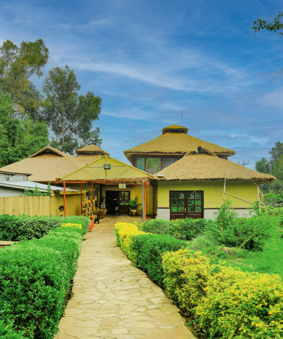 Da Vinci Gorilla Lodge Main Entrance