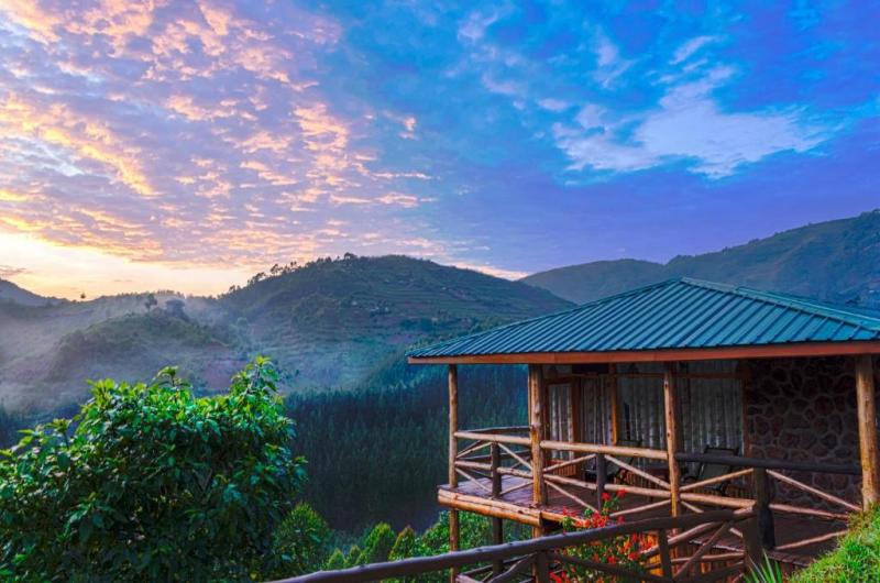 Rushaga Gorilla Lodge - Bwindi