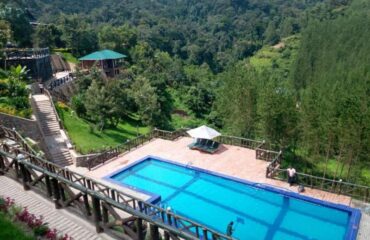 Rushaga Gorilla Lodge Swimming Pool