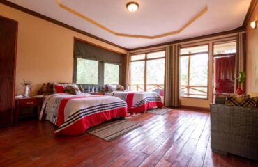 Rushaga Gorilla Lodge Twin