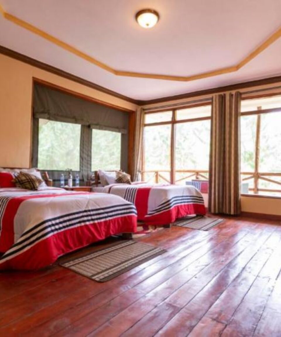 Rushaga Gorilla Lodge Twin