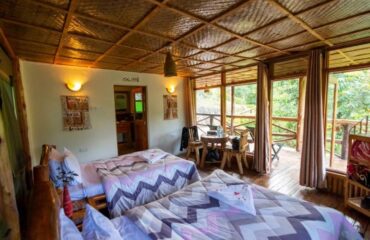 Rushaga Gorilla Lodge Twin Room