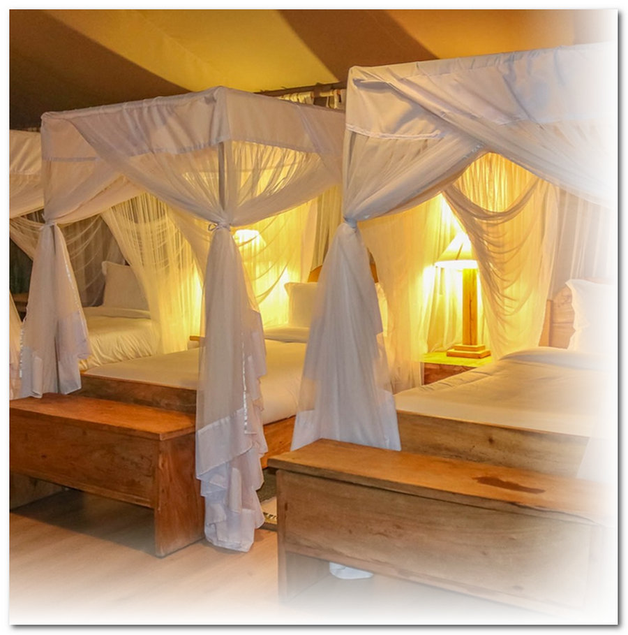 Mara Maisha Luxury Tented Camp