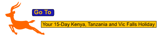 15 Days Kenya Tanzania Vic Falls Holiday Safari